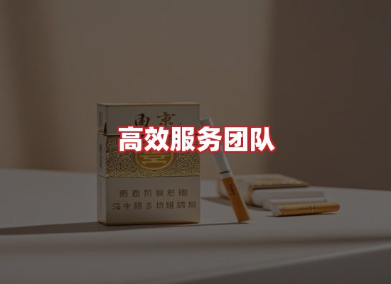 专业团队